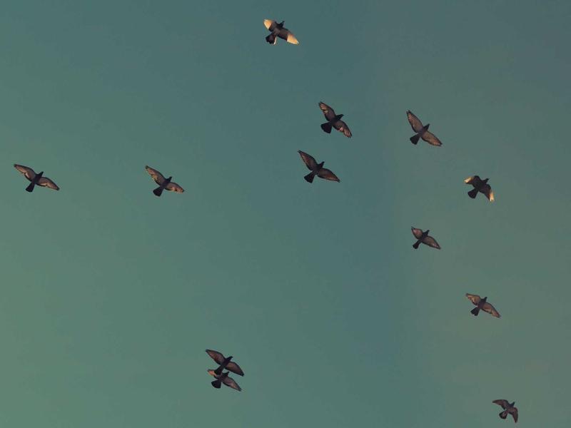 Oficina Compartida Rosario