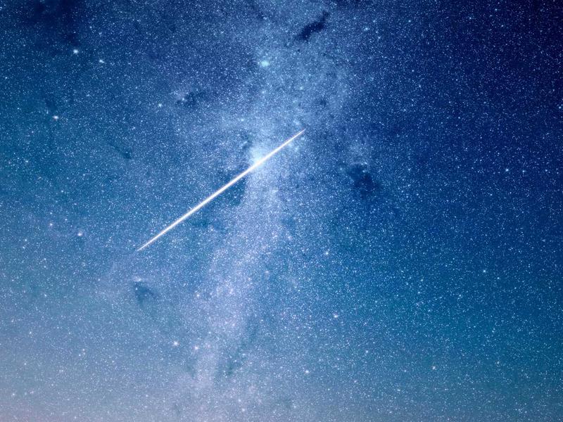 Juliana Castro Rosario